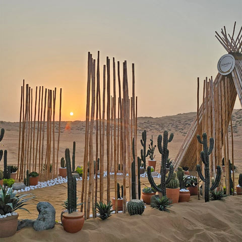 Desert Oasis Gateway to Tranquility for display purposes only (non-sale)