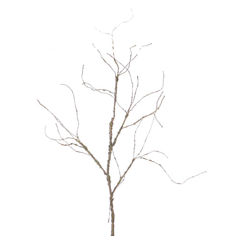 Artificial Curly  Twig  Branch