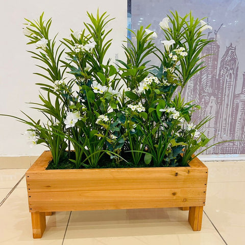 Plants Arrangement