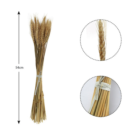 Organic dried wheat stems