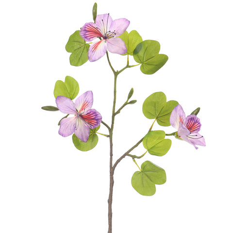 Artificial Bauhinia Flower Branch