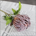 45cm silk protea flower stem