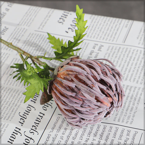 45cm silk protea flower stem