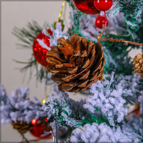 pine cones for crafts