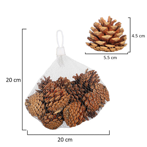 pine cones