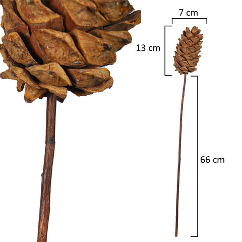 natural pinecones
