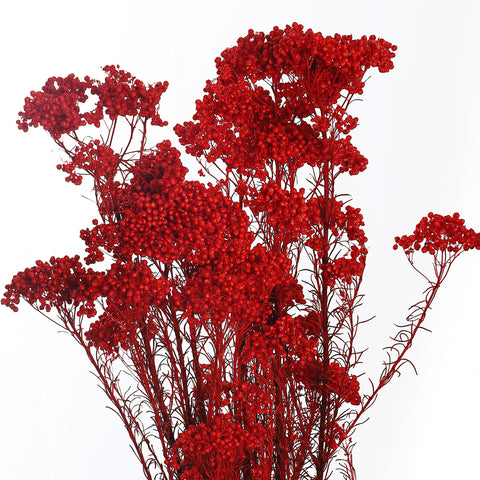 Preserved Floral Arrangements