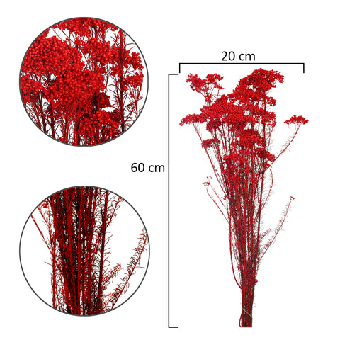 Natural Dried Rice Flowers