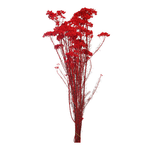 Everlasting Rice Flower Bouquet