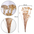 Dried Rice Flower Bunch