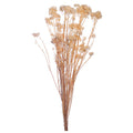 Preserved Rice Flowers