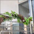 Dried rattan decor stems