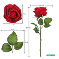 Realistic rose stem
