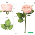 Decorative Rose Stem