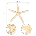 Starfish home décor