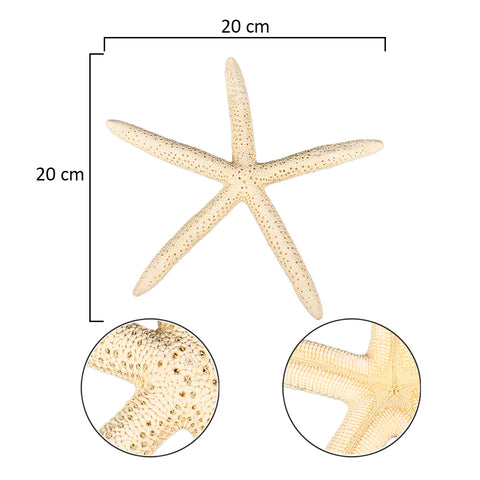 Starfish home décor