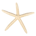 Natural starfish