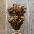 Eco-Friendly Preserved Flowers