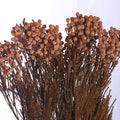 Long-Lasting Dried Flowers
