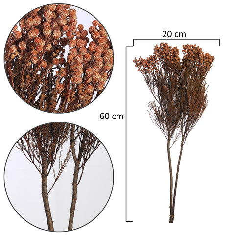 Dried Flowers for DIY Bouquets