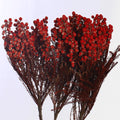Rustic Dried Flowers for Décor