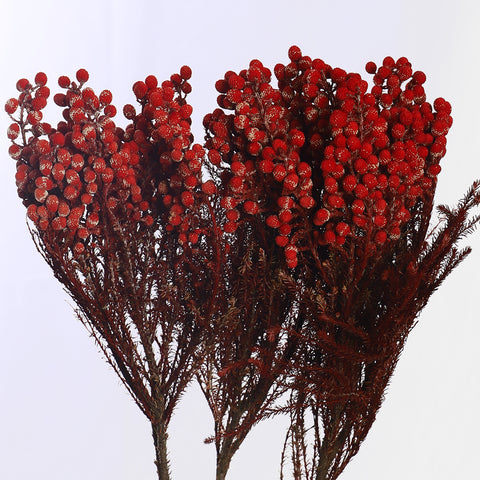 Rustic Dried Flowers for Décor