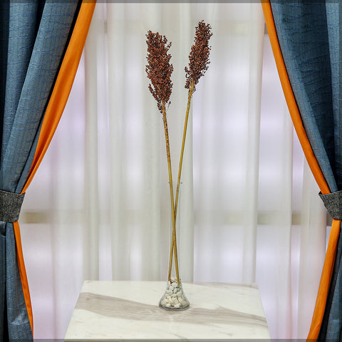 2-Packs Natural Dried Sorghum Flower
