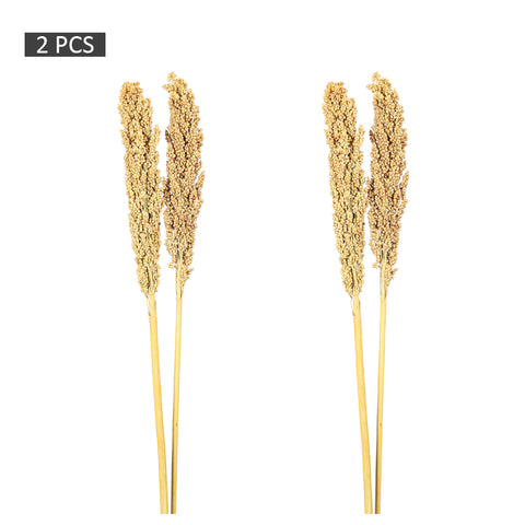 Rustic dried sorghum flower