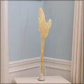 Sorghum flower bunch dried