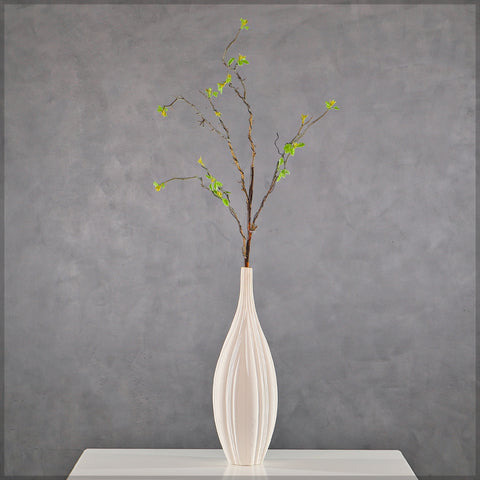 Stick Branches With Small Leaves Spring