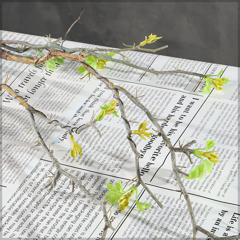 Stick Branches With Small Leaves Spring