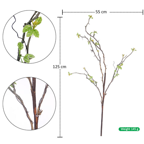 Stick Branches With Small Leaves Spring