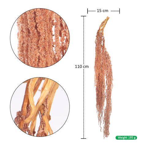 Preserved Dried Hanging Flower
