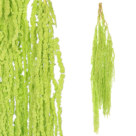 Preserved Dried Hanging Flower