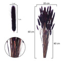 Boho Dried Bunny Tail