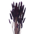 Natural Dried Flowers for Vases