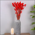 Fluffy Dried Grass for Vases
