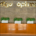 Durable rectangular concrete trough for plants