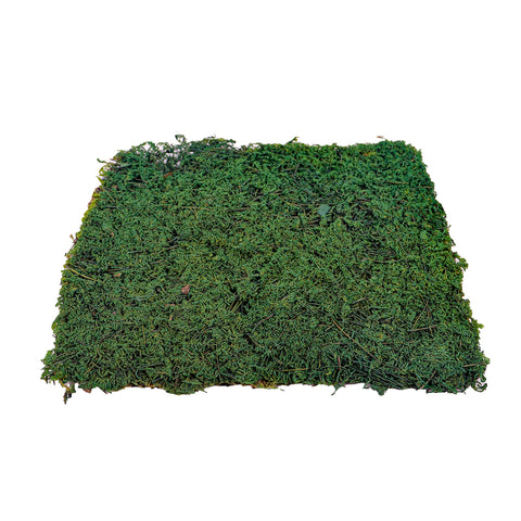 moss for floral decor