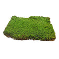 decorative moss for crafts
