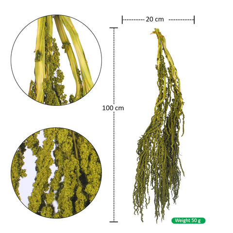 Preserved Dried Hanging Flower