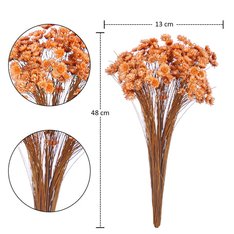 dried star blossom