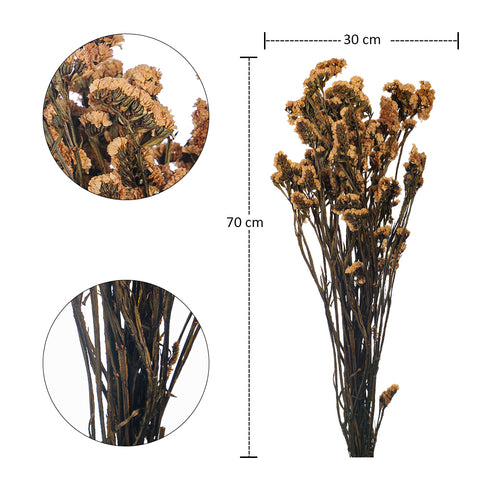 Dried statice sinuata flower