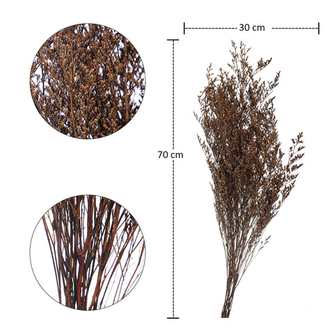 German statice dried stems