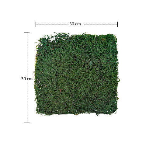 dried moss sheet