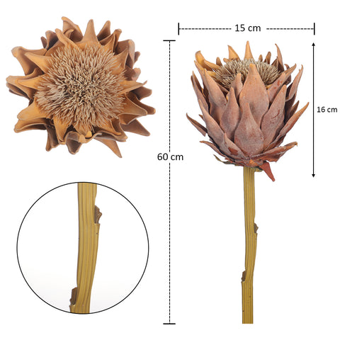 silk protea bloom