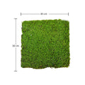 moss for terrariums