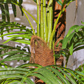 Outdoor artificial plants