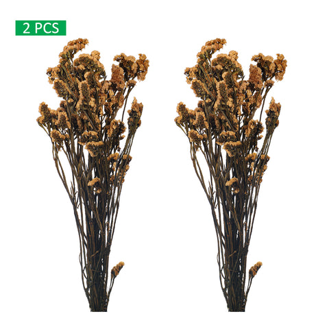 Dried statice flowers for bouquets
