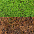 preserved moss bulk